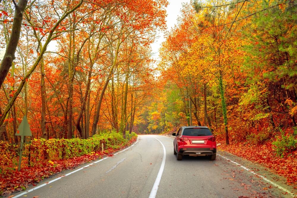 Red car drive on autumn road in nature