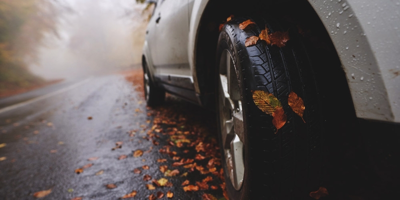 A car drives along a wet, foggy road that is covered in autumn leaves