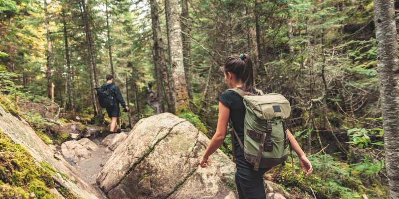 Two hikers climb a steep hill in the forest