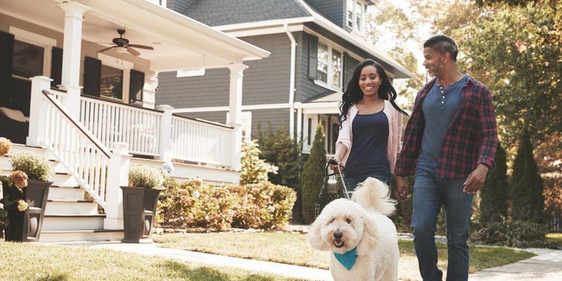 Two people walking down the street with a large dog