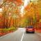 Red car drive on autumn road in nature