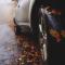 A car drives along a wet, foggy road that is covered in autumn leaves