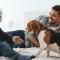 A beagle puppy jumps up on the bed with a dad and his stylish young son