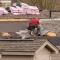 Repairing an old shingled roof_how much is your roof costing you1.jpg